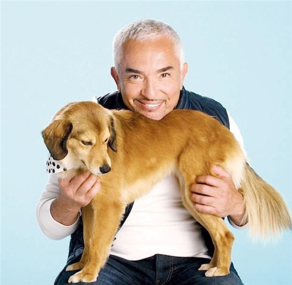  <a class='keyword-sd' href='/cesar-millan/' title='Cesar Millan'>Cesar Millan</a>: Köpekleri rehabilite ediyorum, insanları eğitiyorum