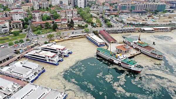 Bu testi geçebilir misiniz?