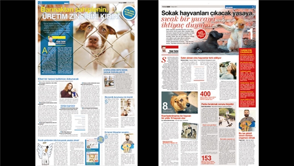 Hayvanlar artık can ama can hâlâ ucuz