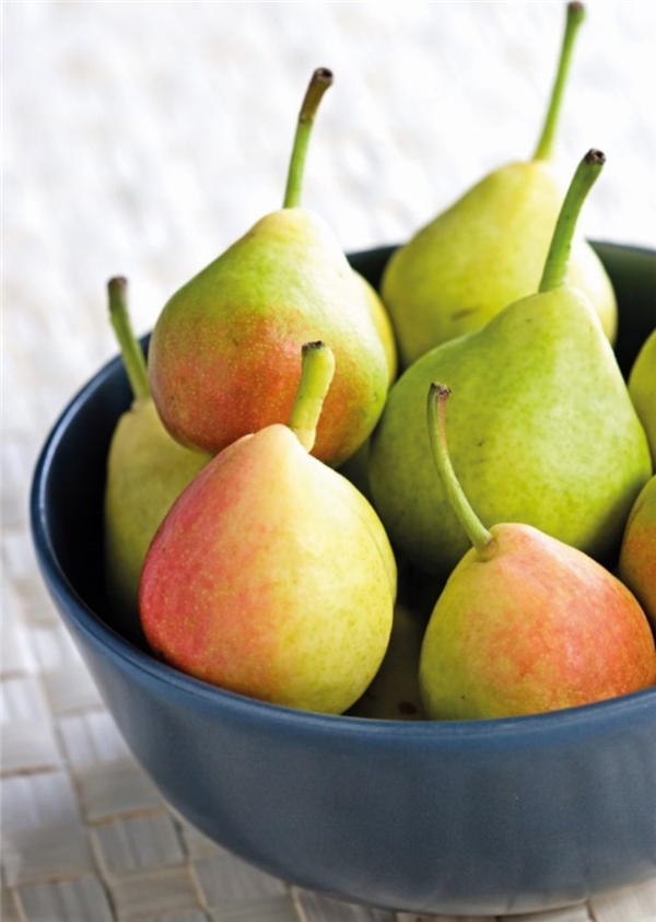 Bir ısırık almaz mıydınız?