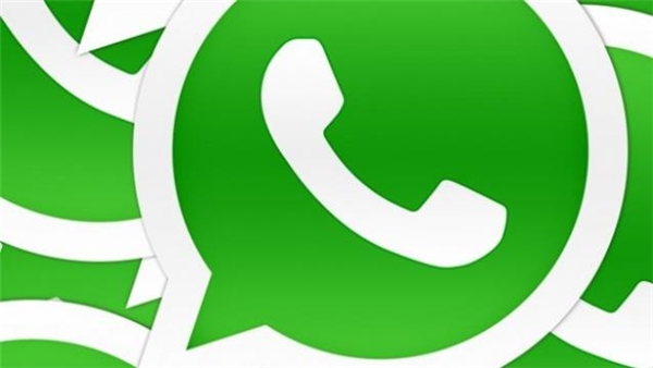 Whatsappjungle-624x351