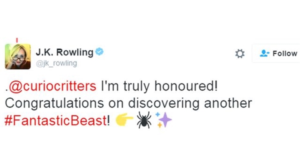 Harry Potter'ın Yazarı J.k. Rowling'i Heyecanlandıran 'Seçmen Şapka Benzeri' Örümcek