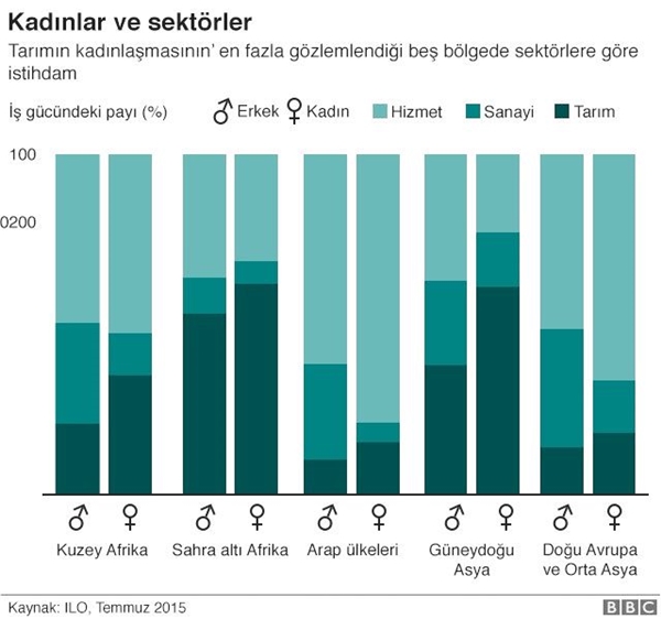 100 Kadın: Tarım Sektöründe Çalışan Kadınlar Cinsiyet Ayrımcılığını Yıkıyor Mu?
