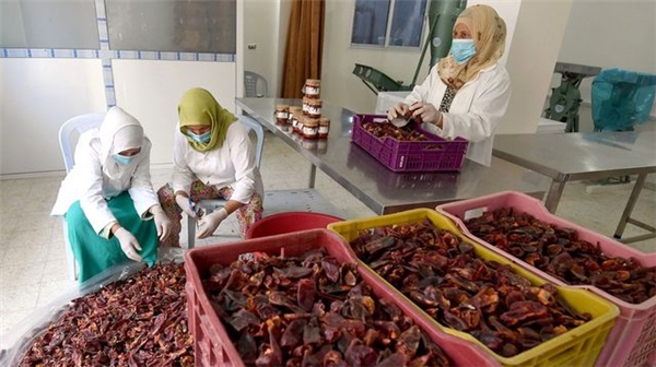 100 Kadın: Tarım Sektöründe Çalışan Kadınlar Cinsiyet Ayrımcılığını Yıkıyor Mu?