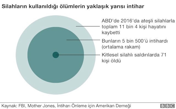 8 Grafikte Amerika'da Bireysel Silahlanma