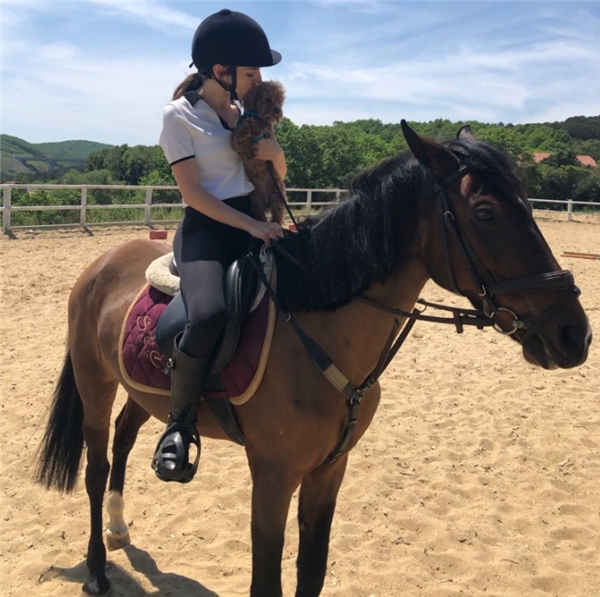 Alf yalnız bırakmıyor