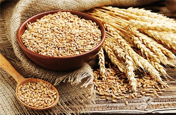 Yumurta kabuğundan kaşık olur mu? Sıçandişi mi doğradık, piyazlık mı?