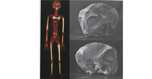 Meksika Kongresi'nde UFO İddiası