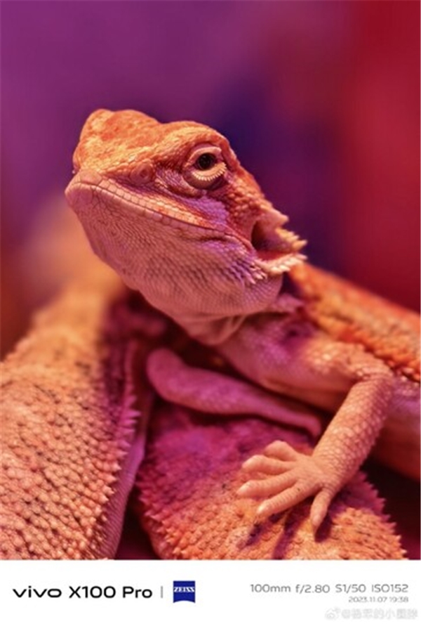 Vivo X100 Serisi Tanıtıldı