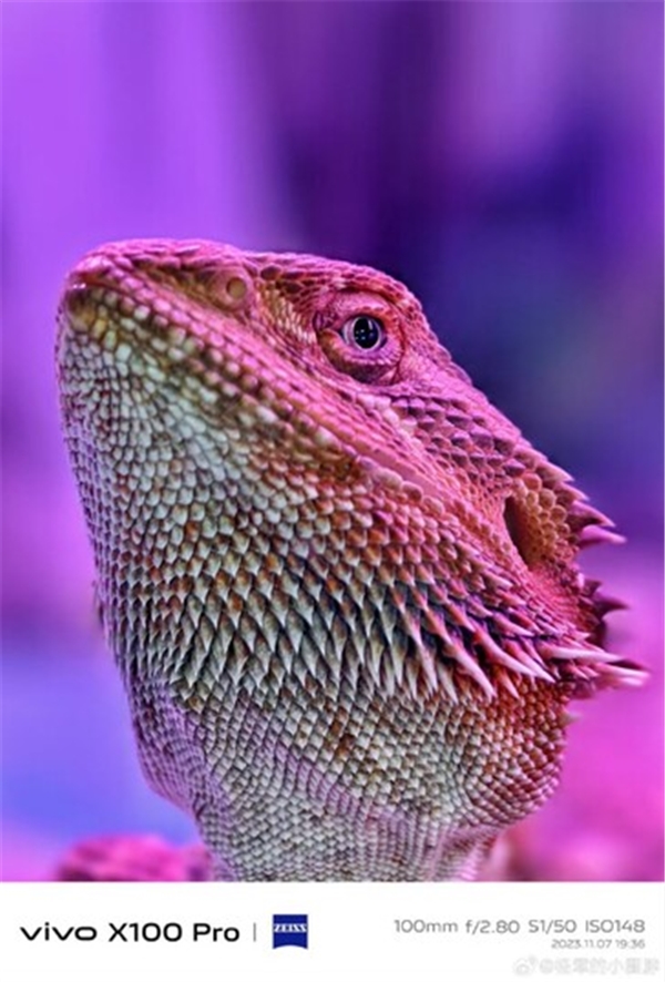 Vivo X100 Serisi Tanıtıldı