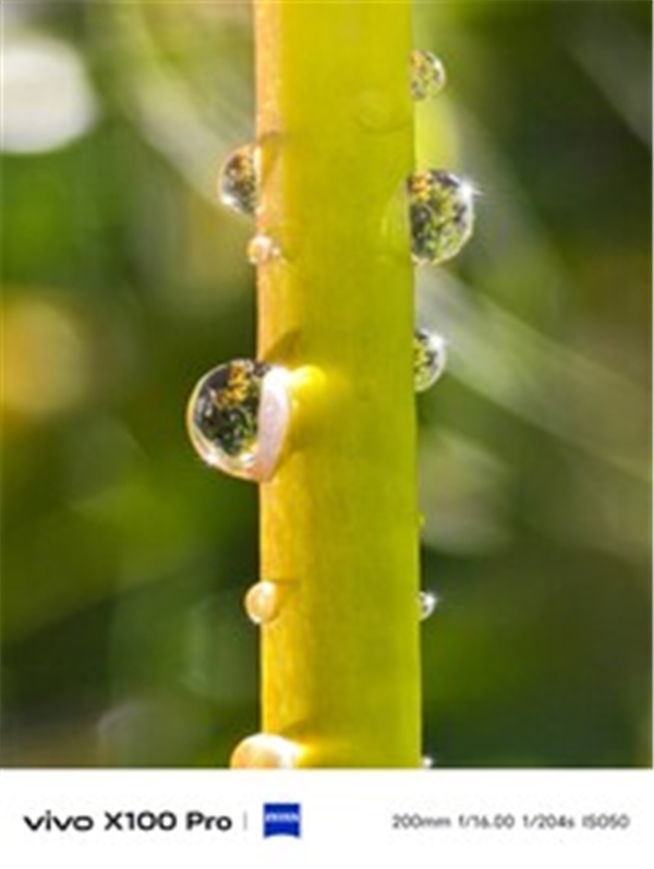 Vivo X100 Serisi Tanıtıldı