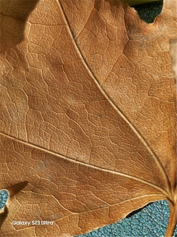 Vivo X100 Serisi Tanıtıldı