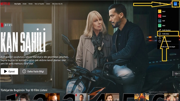 Netflix Profil Aktarma İşlemi Nasıl Yapılır?