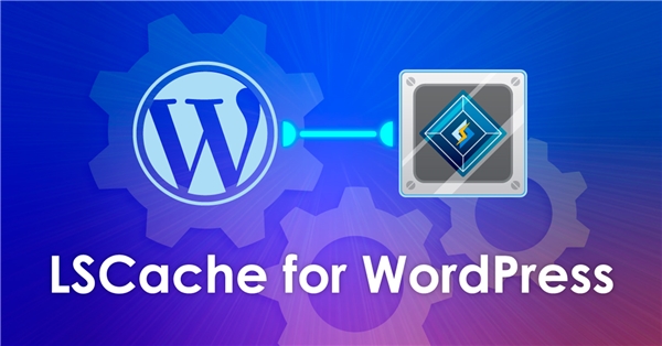 WordPress Eklentisi LiteSpeed Cache, <a class='keyword-sd' href='/bilgisayar/' title='Bilgisayar'>Bilgisayar</a> Korsanlarının Hassas Bilgileri Çalmasına İzin Verebiliyor