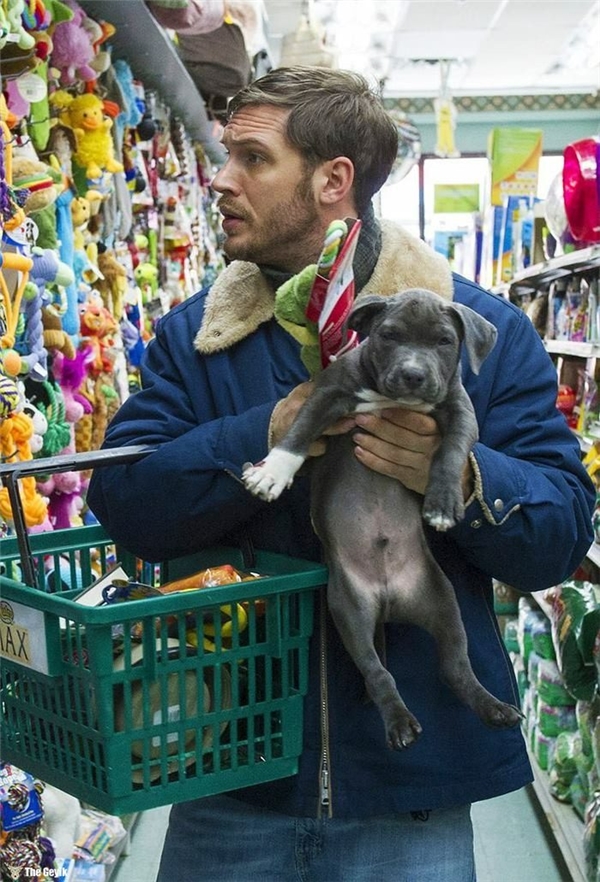 Tom Hardy'nin Köpekleri Sevdiği Kalplerinizi Eritecek 24 Fotoğrafı