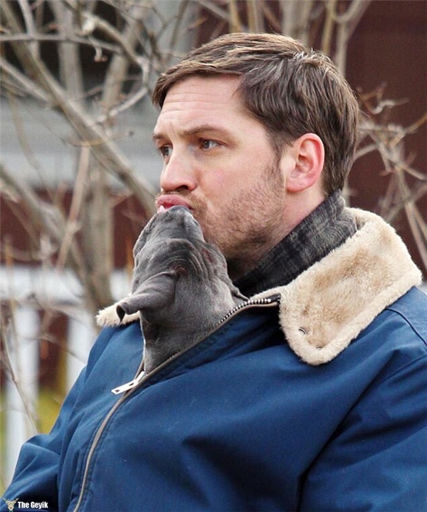 Tom Hardy'nin Köpekleri Sevdiği Kalplerinizi Eritecek 24 Fotoğrafı