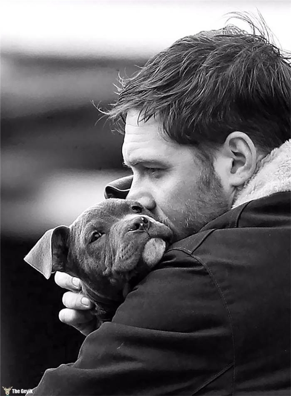 Tom Hardy'nin Köpekleri Sevdiği Kalplerinizi Eritecek 24 Fotoğrafı