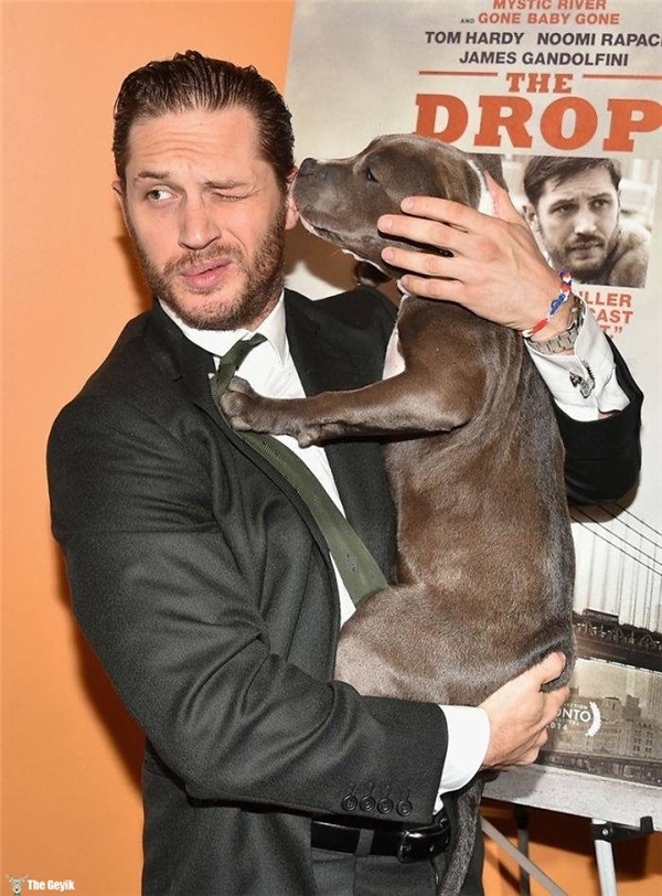 Tom Hardy'nin Köpekleri Sevdiği Kalplerinizi Eritecek 24 Fotoğrafı