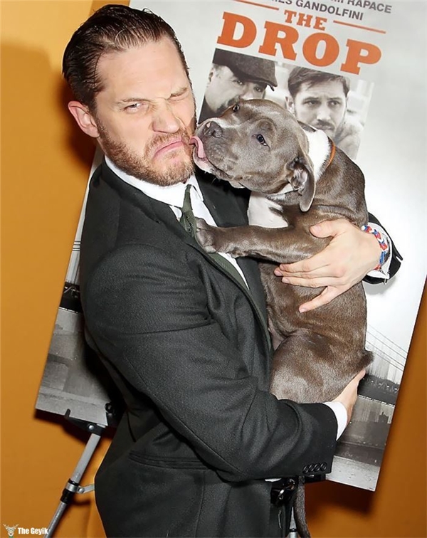 Tom Hardy'nin Köpekleri Sevdiği Kalplerinizi Eritecek 24 Fotoğrafı