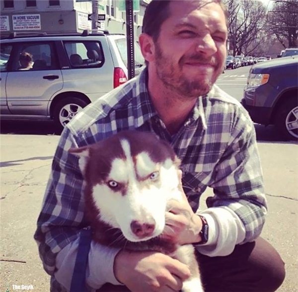 Tom Hardy'nin Köpekleri Sevdiği Kalplerinizi Eritecek 24 Fotoğrafı