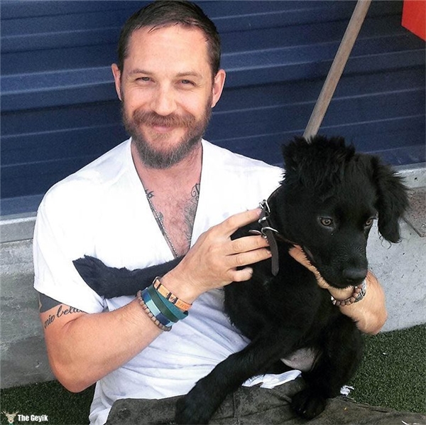 Tom Hardy'nin Köpekleri Sevdiği Kalplerinizi Eritecek 24 Fotoğrafı