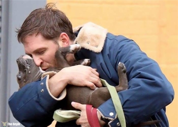 Tom Hardy'nin Köpekleri Sevdiği Kalplerinizi Eritecek 24 Fotoğrafı