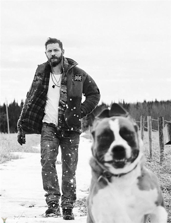 Tom Hardy'nin Köpekleri Sevdiği Kalplerinizi Eritecek 24 Fotoğrafı