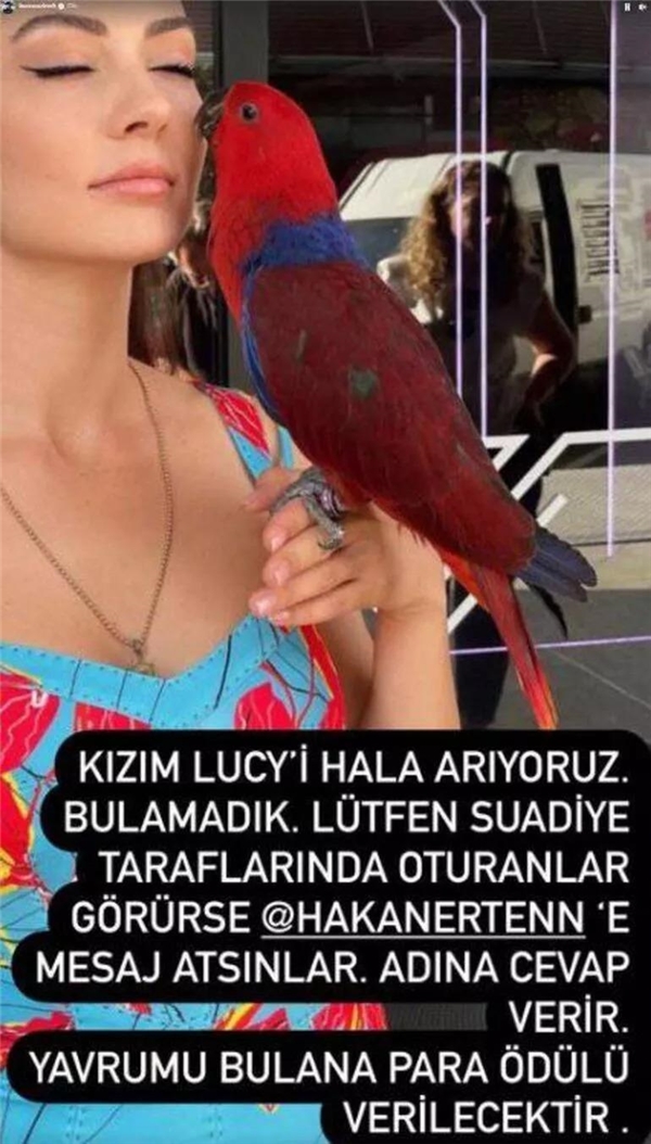 Burcu Özberk evden kaçan papağanına kavuştu