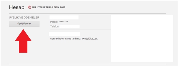 Netflix Üyelik İptali Nasıl Yapılır?