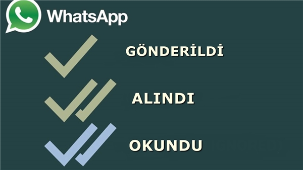 WhatsApp tikleri ve anlamları [2022]