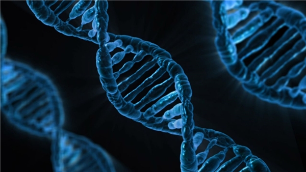 Bilim İnsanları Yapay DNA Modeli Oluşturdu