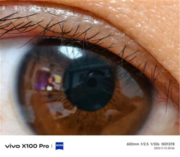 Vivo X100 Serisi Tanıtıldı