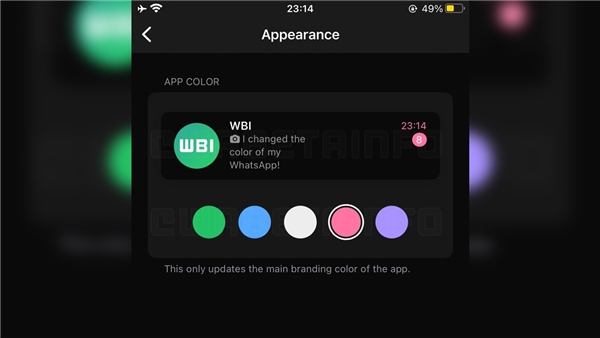 WhatsApp iOS Beta Uygulamasında Tema Değiştirme Özelliği