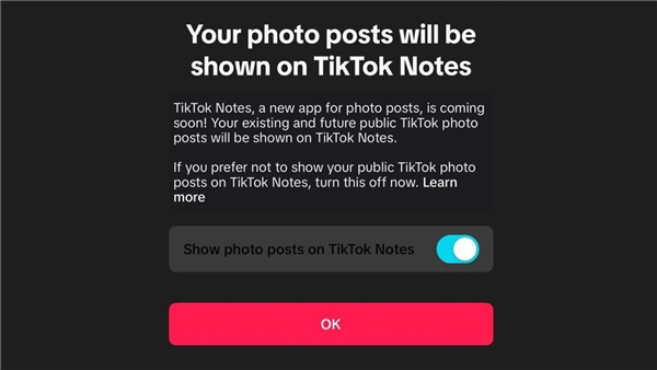 TikTok, Notes Uygulaması İçin Kullanıcılara Bildirim Göndermeye Başladı