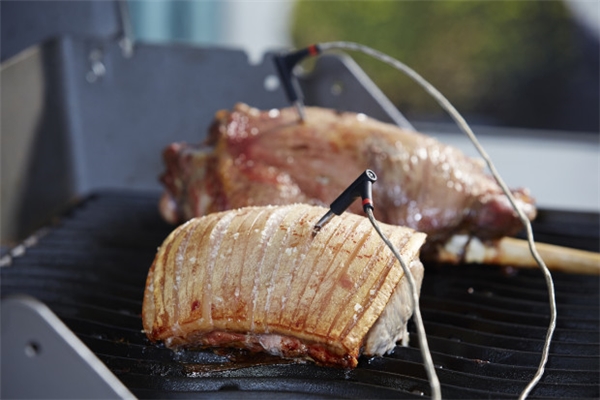 Tüm Etlerin Mükemmel Pişeceği Bir Dünya Mümkün: Cookperfect