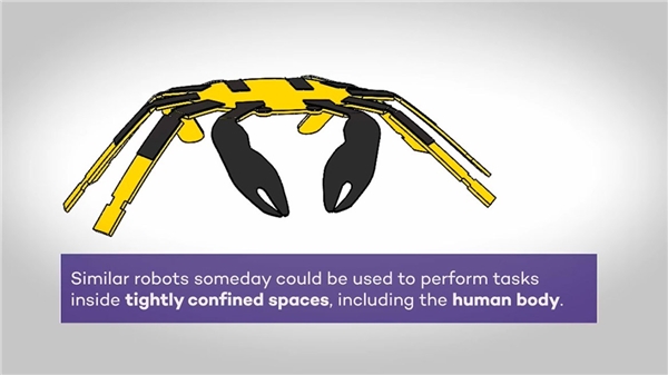 Bu mikro robotlar sağlık sektöründe çığır açacak!