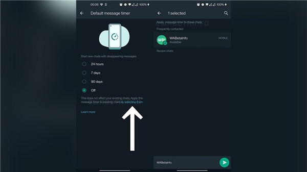 WhatsApp'tan gizlilik takıntısı olanlar için yeni özellik
