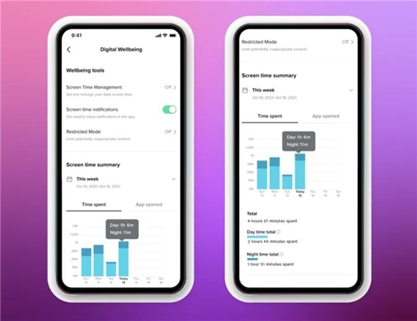 TikTok, sosyal medyayı daha az kullanmanızı istiyor