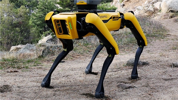 Çöpe giden 175 milyon dolarlık Bitcoin'i arama sırası robotlarda!