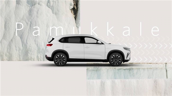 Seri üretime saatler kala Togg'un renkleri belli oldu!