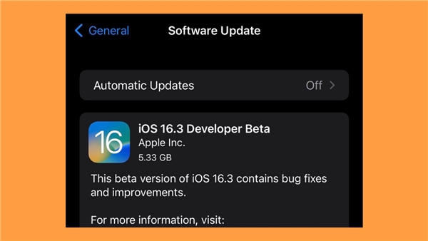 iOS 16.3'ün ilk beta sürümü yayınlandı! İşte yenilikler