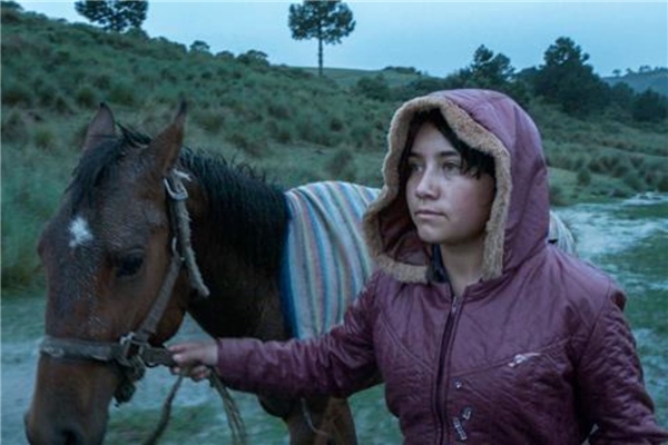 73. Uluslararası Berlin Film Festivali... 'ALTIN AYI'LAR SAHİPLERİNİ BULDU!