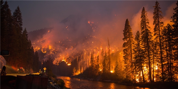 İklim Değişikliği Bu Hızla Devam Ederse, Yıkıcı Yangınlar Dünya'yı Vuracak
