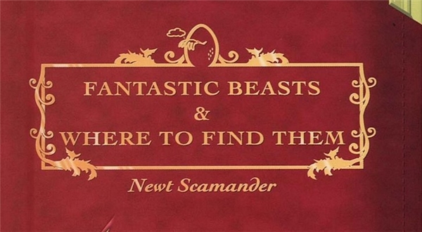 Fantastic Beasts and Where to Find Them turkishplayer